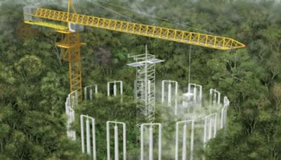 Brasil está generando anillos de CO2 en el Amazonas: la destrucción del pulmón del planeta, en directo