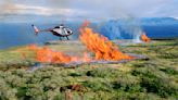 Hawaiian Wildfires Force Evacuation, Advisor Says Travelers Won’t Be Severely Impacted