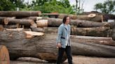 Philly collects 2,000 tons of downed trees a year. Now, it’s selling them as lumber.