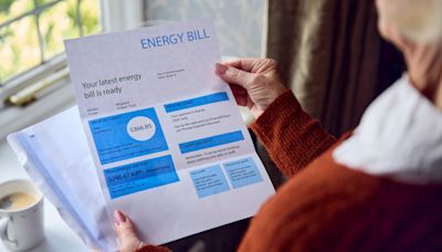 Exact dates millions of households must take a meter reading at every supplier