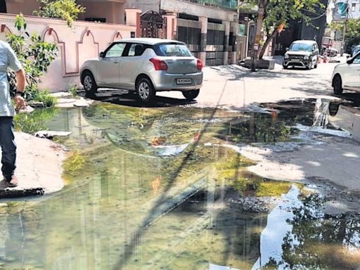 2nd suspected dengue death reported in Bengaluru; Dr CN Manjunath calls for medical emergency: Report