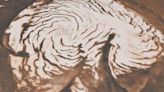 Un hallazgo científico revela que nieva copiosamente en Marte - Diario Hoy En la noticia