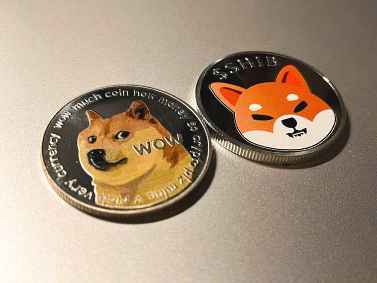 Here is why DOGE could rally