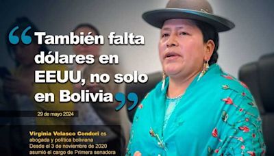 Duras críticas contra senadora por declaración respecto al dólar - El Diario - Bolivia