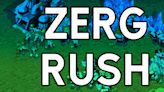 Zerg Rush meaning, origins, and use