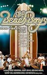 The Beach Boys: It's OK!