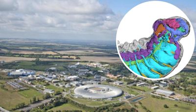 520-million-year-old tiny worm fossil uncovered as Harwell research takes place