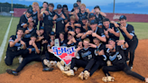 Oceanside, James Island take baseball state titles; Hanahan faces deciding game after controversial call