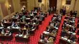 2024 Minnesota legislative session comes to chaotic end
