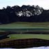 TPC at Sawgrass