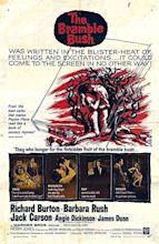 The Bramble Bush (1960) - Richard Burton DVD