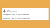20 Of The Funniest Tweets About Cats And Dogs This Week (Dec.16-22)