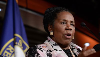 Late Rep. Sheila Jackson Lee's daughter running for mother's old House seat: 'I want to finish for my mom!'