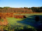 Frances Slocum State Park