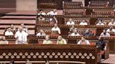 Opp attacks govt on taxes, unemployment and farm incomes in Rajya Sabha