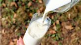 鮮乳、保久乳、奶粉和調味乳差在哪？營養師一圖讓你秒懂其差異