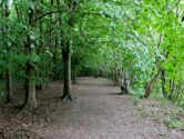 High Elms Country Park