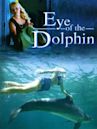 Eye of the Dolphin