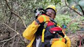 Deaf dog named Hobo falls 100 feet into ravine, has life saved by 5 rescuers in hourslong rescue