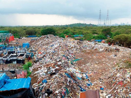 Mumbai: Authorities turn blind eye to illegal dumping of debris in mangroves in Versova village