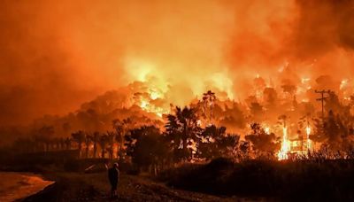 Las partículas de los incendios han matado a 52,000 personas en California en diez años