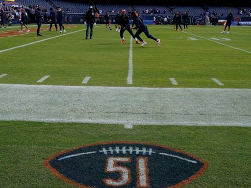 Gobierno de Illinois detiene planes de nuevo estadio de Bears