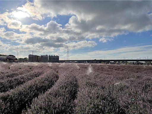 楊梅3大節慶預算大減甚至「被消失」 張善政這樣回 - 生活