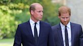 Does the Fight Between Princes William and Harry Mirror the One Between Charles and Diana?