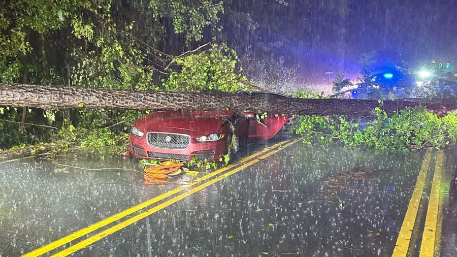 Gallery: Local storm damage, flooding due to Tropical Storm Debby