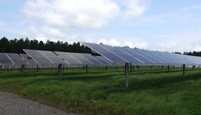 Dominion solar farm powering 20,000 homes in Halifax County, one of many in move to clean energy