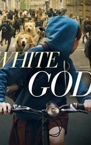 White God