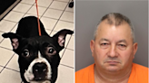 Dog owner charged after decapitated bulldog mix found in Florida park