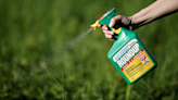 Can Bayer Weedkiller Cause Blood Cancer? What Australian Court Said