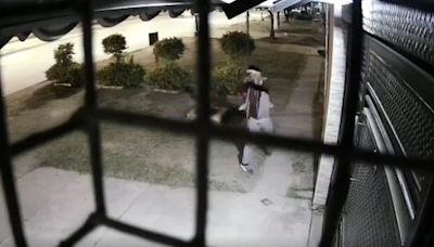 Al estilo Tarzán: un joven se trepó a una pared, saltó y arriesgó su vida para robar cables de luz
