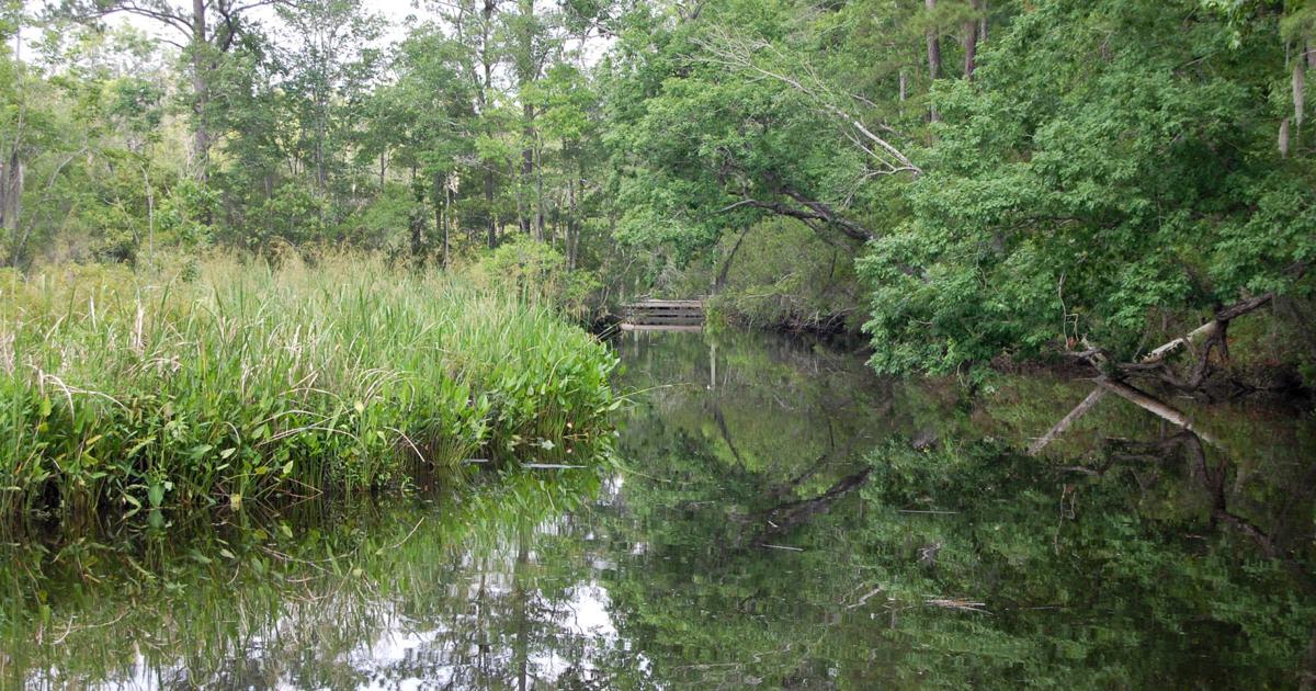 SC plantation in the same clan since the '30s and once used by Gen. Robert E. Lee sells