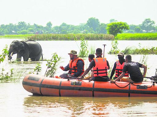 Over 33% of flood deaths in 8.82% area of Assam