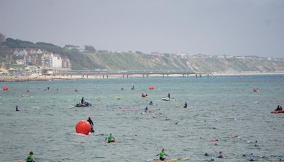 New web app launched for swimmers and surfers to check water conditions