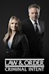 Law & Order: Criminal Intent