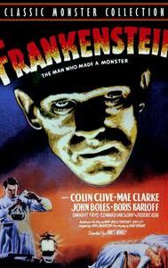 Frankenstein (1931 film)