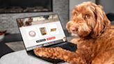 Amazon Prime Day dog deals 2023: Pamper your pet with up to 51% off!