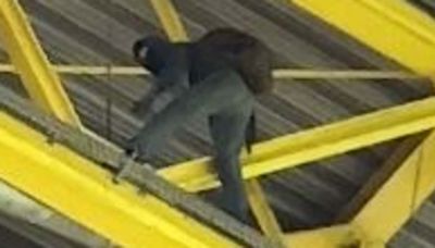 Police chase man at GUNPOINT after he climbs up Dortmund stadium roof