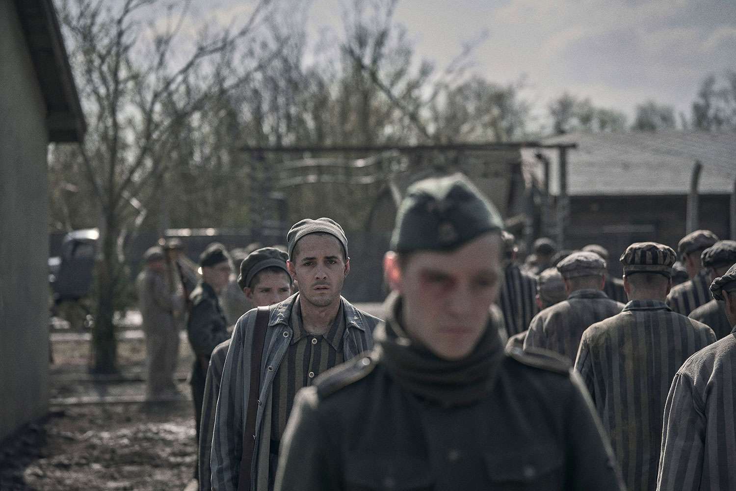 Let's Compare the 'Tattooist of Auschwitz' Book and TV Series: See the Differences