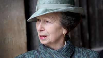Princess Anne Says She "Can't Remember a Single Thing" About Her Horse-Related Accident