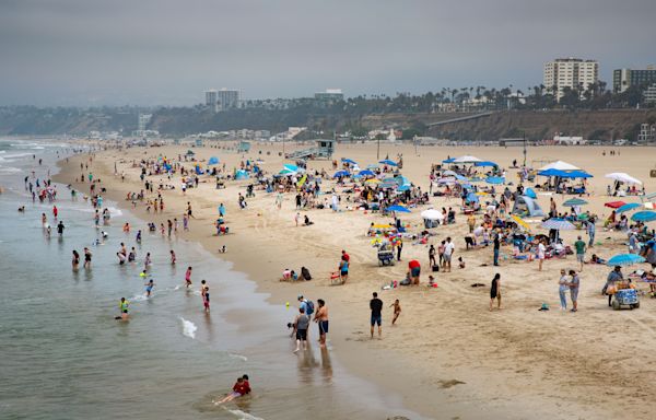 California beachgoers warned over water quality, bacterial levels