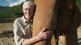 Paul O'Grady celebrated for his love of animals as late star's last-ever series finishes