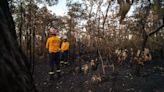 The ominous signs pointing to extreme heat and fire in Australia this summer