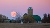 After the total solar eclipse, April's full moon and Lyrids meteor shower are up next