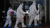 Alert issued in India after boy dies from high risk Nipah virus