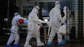 India alert after boy dies from Nipah virus in Kerala