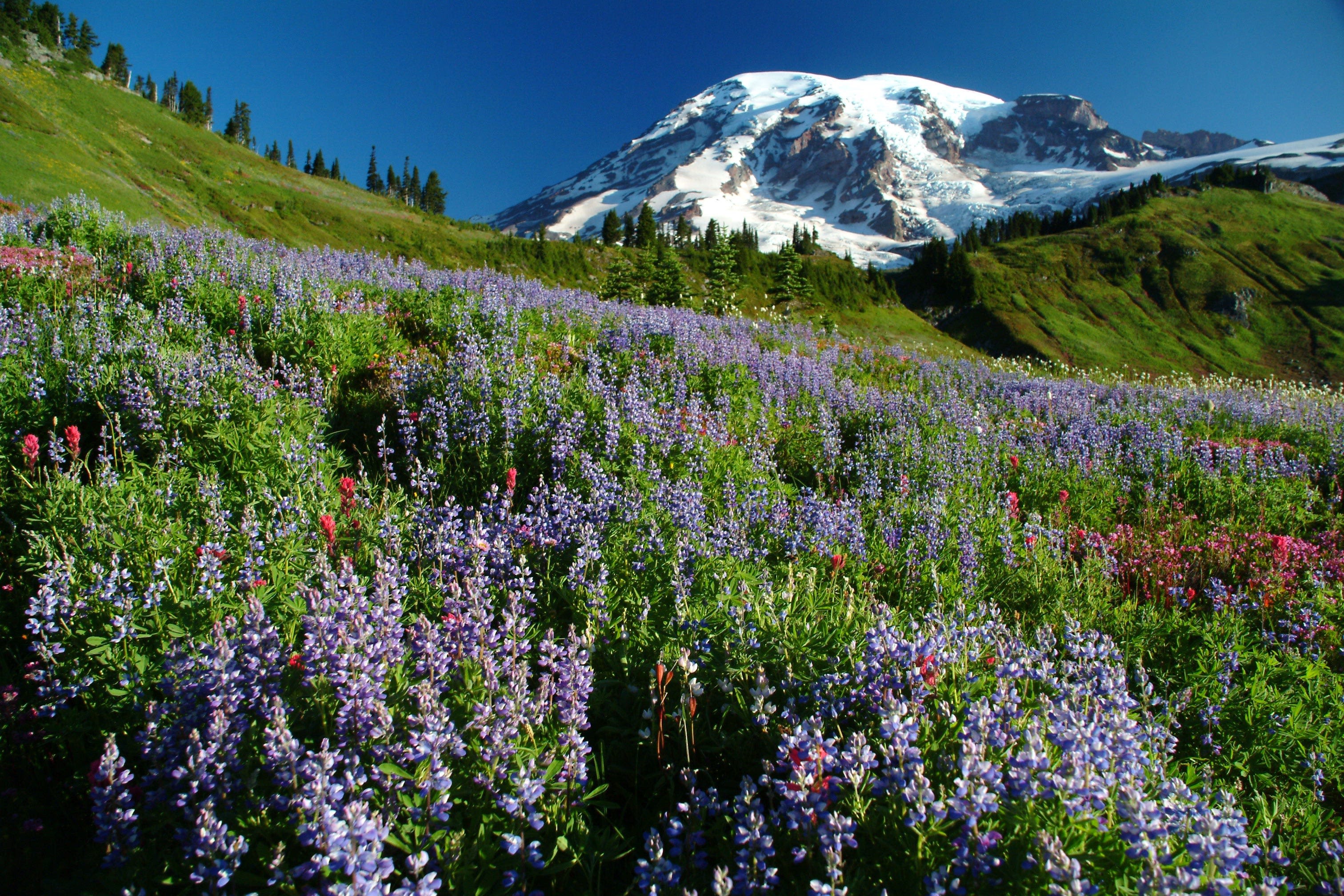 The highest and lowest natural elevation in each of the 50 states